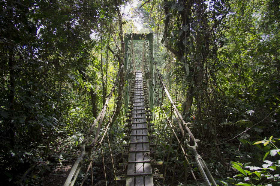 Gunung Mulu National Park, Borneo