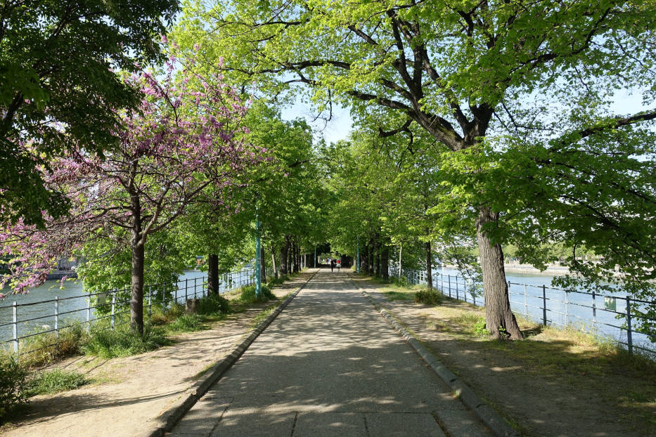 Île aux Cygnes