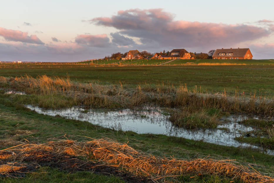 Öland