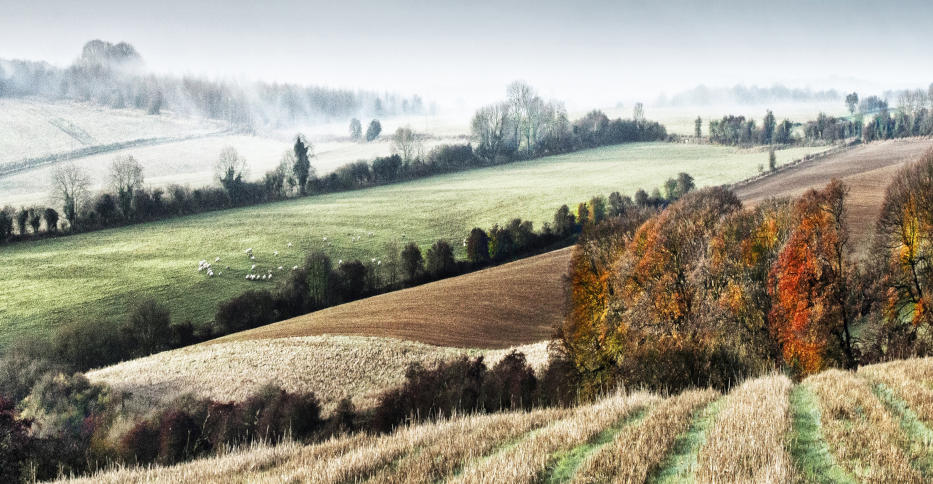 England’s countryside in mist