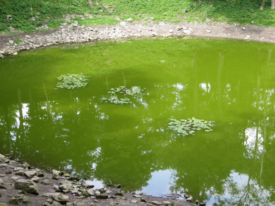 Kaali Meteorite Crater