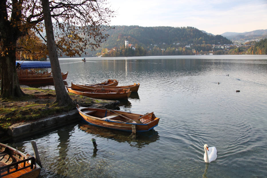 Bled Lake