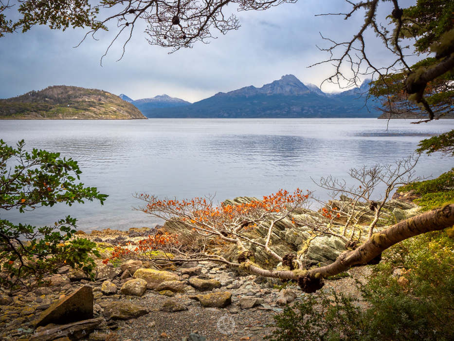 Beagle Channel