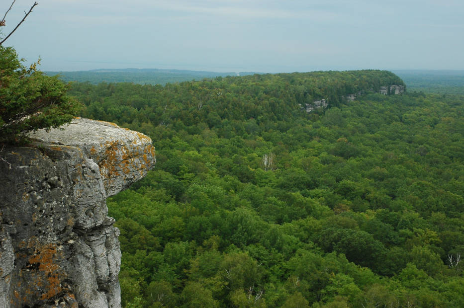 Cup and Saucer Trail