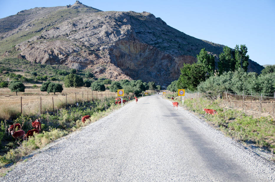 Best Time to Visit Gökçeada